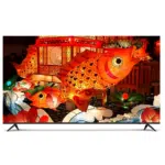 تلویزیون 75 اینچ دوو مدل DSI-75HS4000U